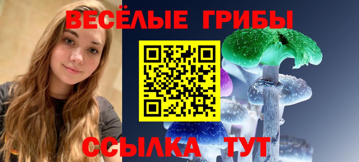 Галлюциногенные грибы Psilocybe  Вход с VPN  Псилоцибиновые грибы ЛСД  Таганрог 